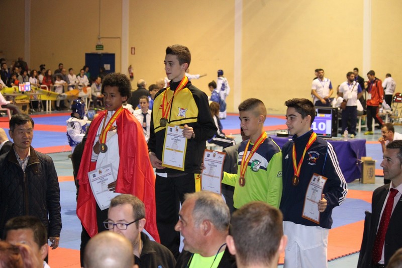 CLUBES NAVARROS EN EL CAMPEONATO DE ESPAÑA 2015